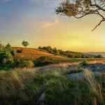 Doughton Park Picnic Area
