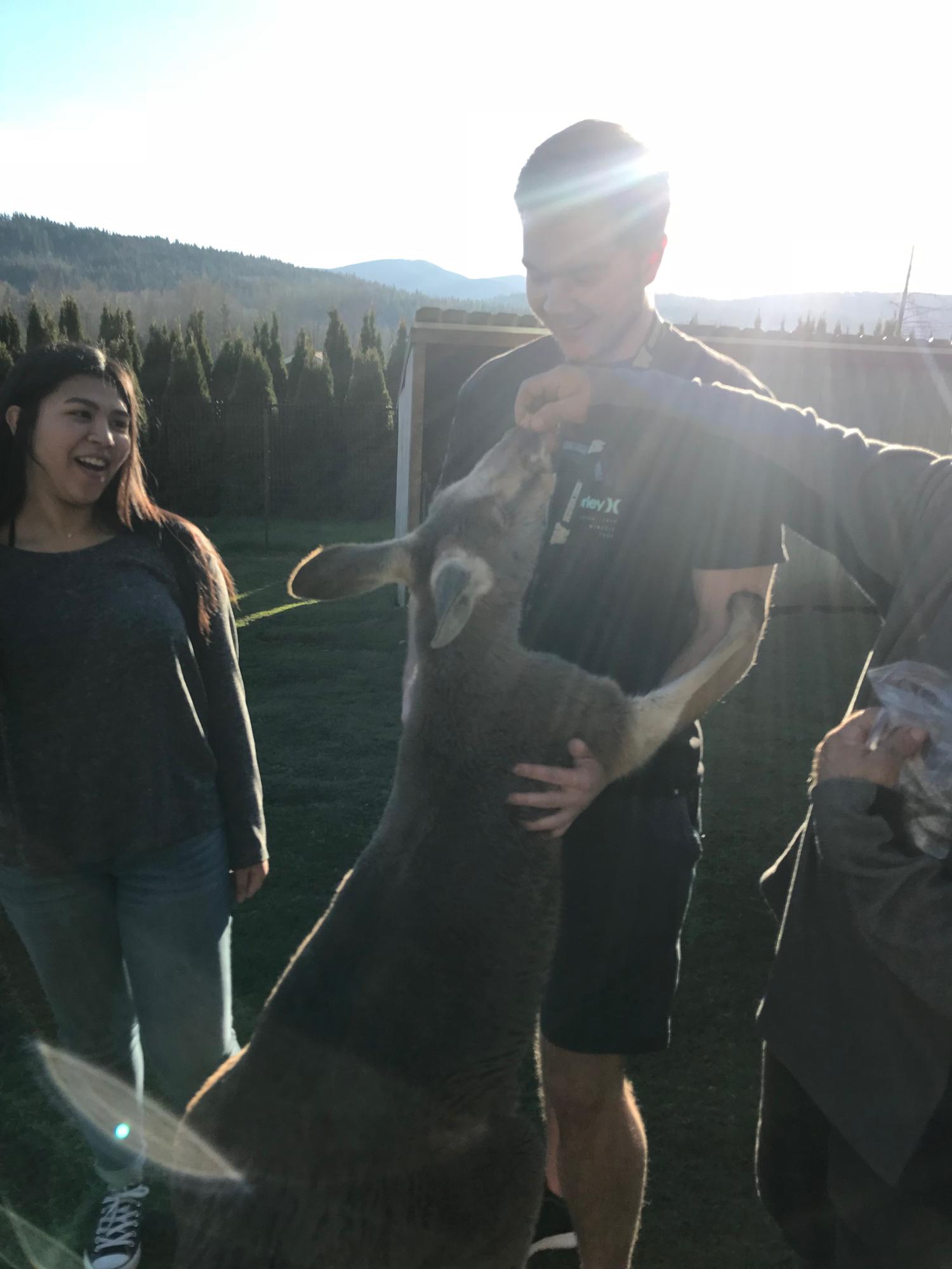 March 11th, 2018
One of our very interesting adventures! We went to Fall City’s Wallaby Ranch where we learned a lot about kangaroos and got to meet a few of them. They were very cozy with Adam!
