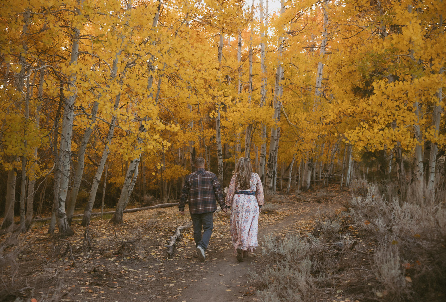 The Wedding Website of Tiffany Runge and Ryan Barnes