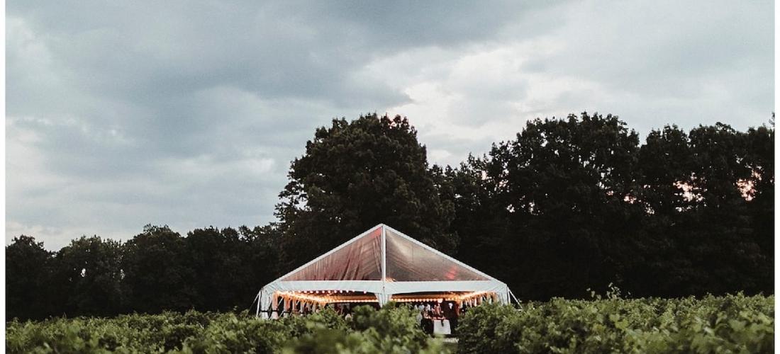 The Wedding Website of Alyssa Adam and Connor Kopp
