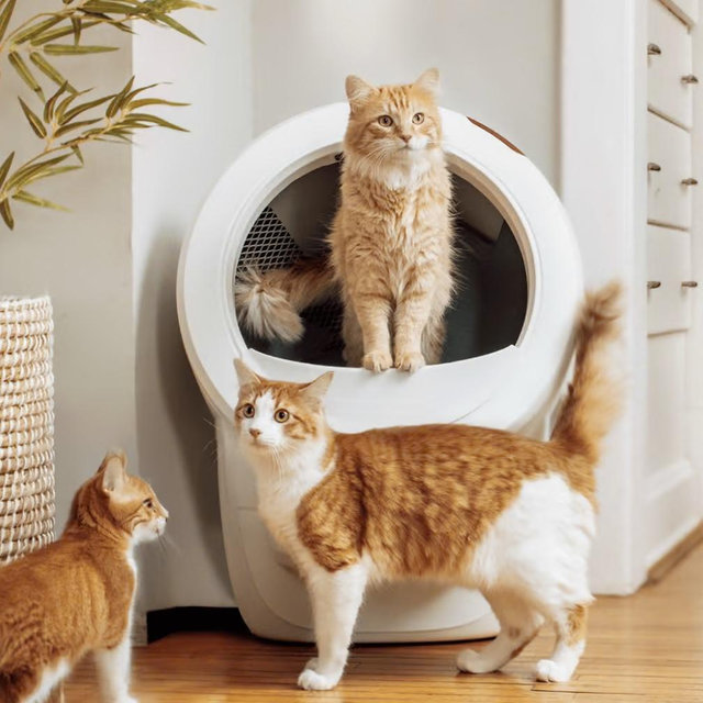 Litter-Robot® 4