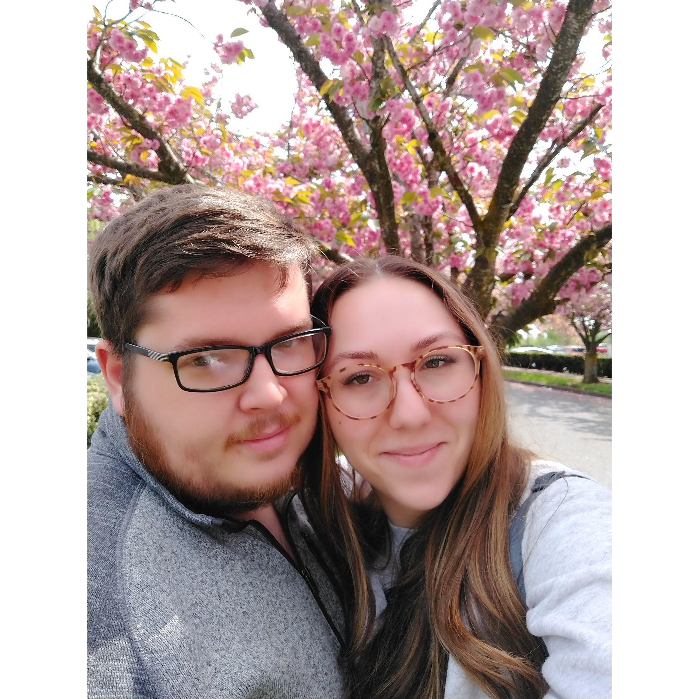 stepped right off the plane and into cherry blossom season!