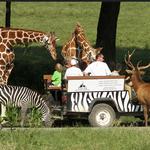 Fossil Rim Wildlife Center