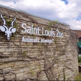Saint Louis Zoo