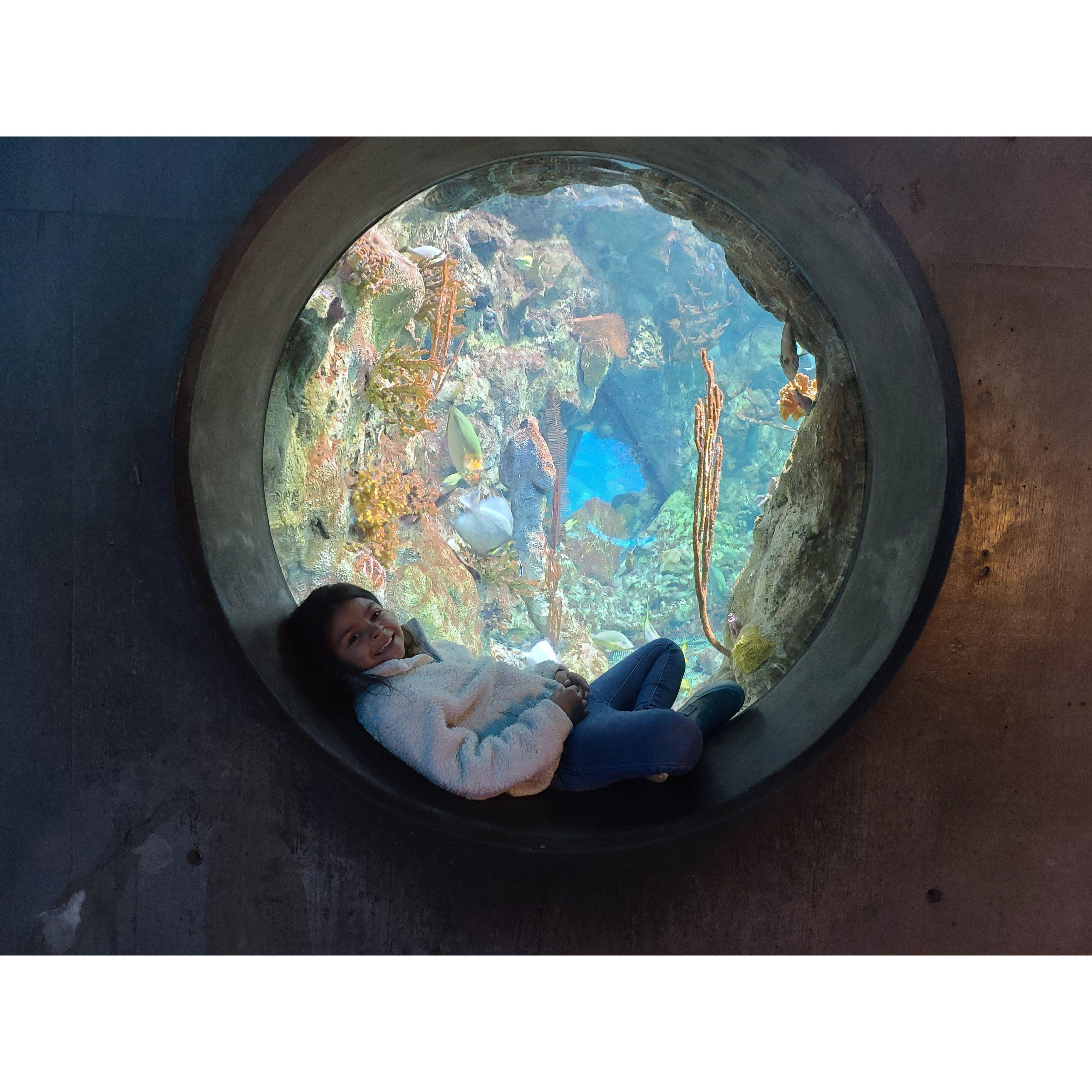 Aquarium days with Max and the kiddos. Zara is one of our flower girls. Before they moved to PA, we would try to make it to the zoo and aqarium