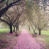 Everhart Park