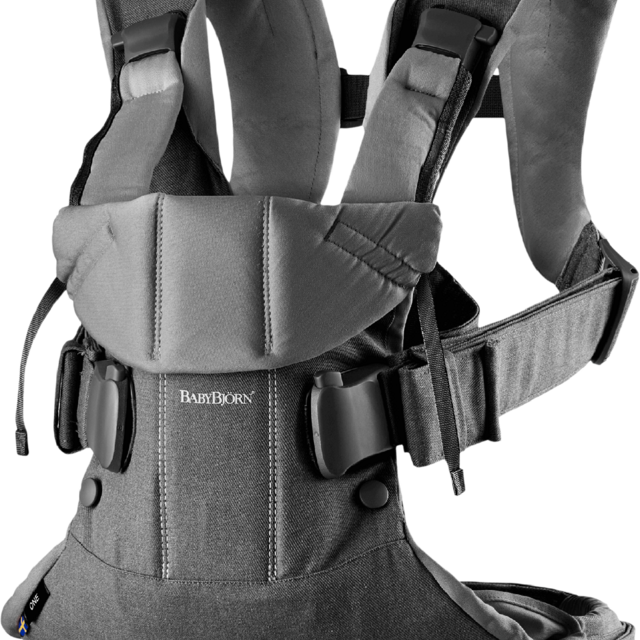 Baby Carrier One