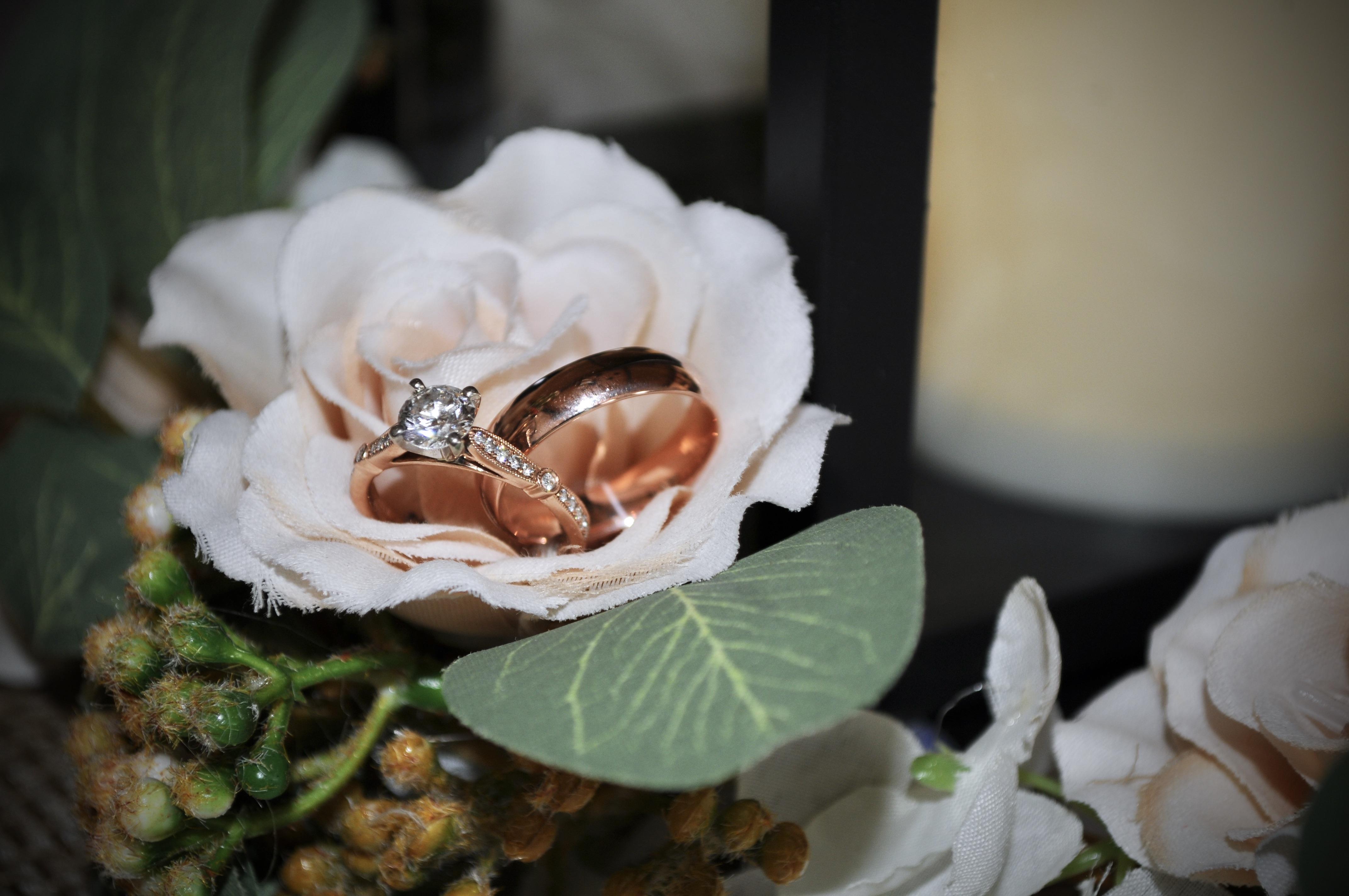 The Wedding Website of Madeline (Nelson) Jensen and Brandon Jensen