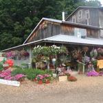 Pond Hill Farm