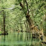 Blue Hole Regional Park