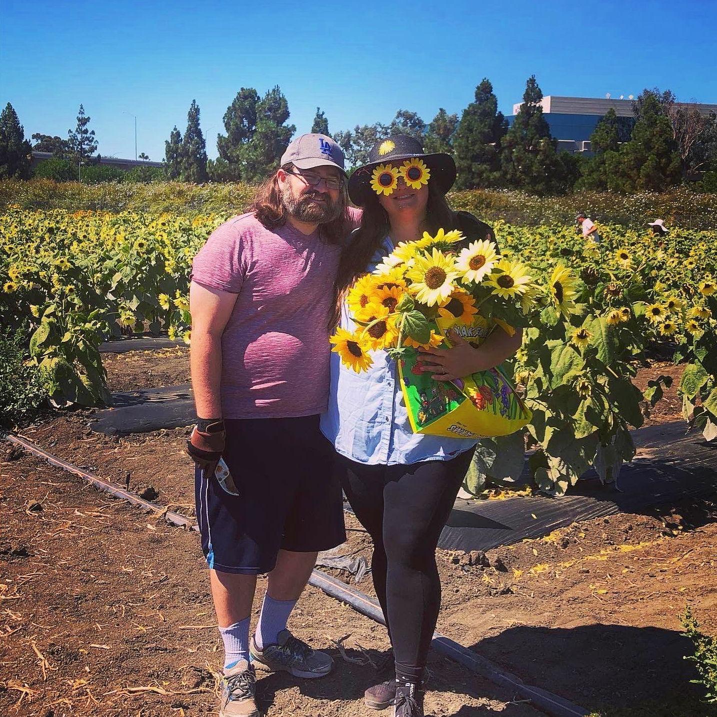 Sunflower Picking at Hana Fields. Summer, 2022.