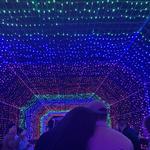 Santa's Wonderland