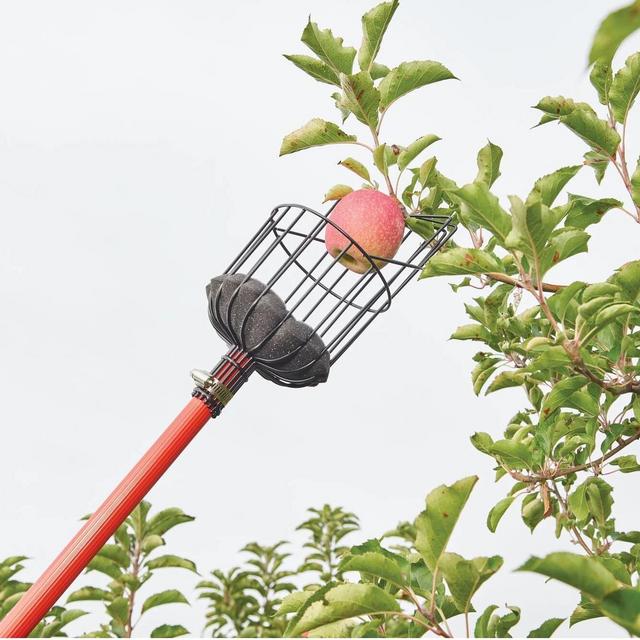 CRAFTSMAN Fruit Picker