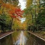 The historic M-119 scenic route, or the Tunnel of Trees