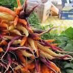 The Newburyport Farmers' Market