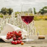 Wine tasting