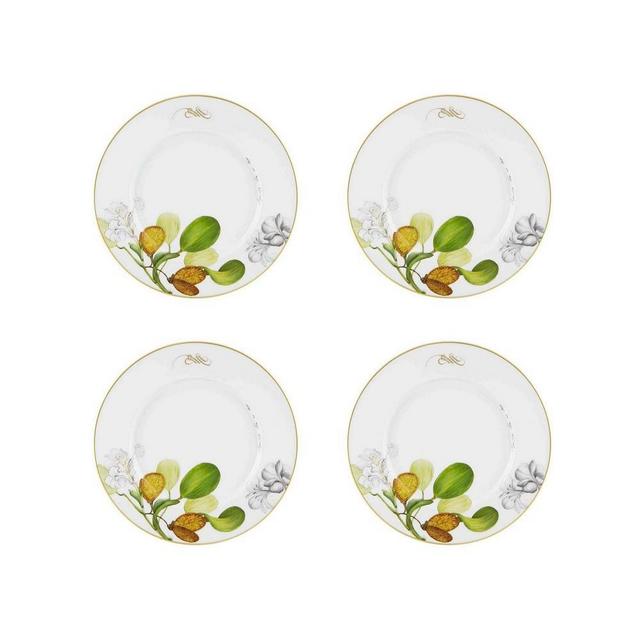 Amazonia Dinner Plates, Set of 4