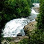 Dupont State Forest