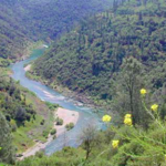 South Fork American River