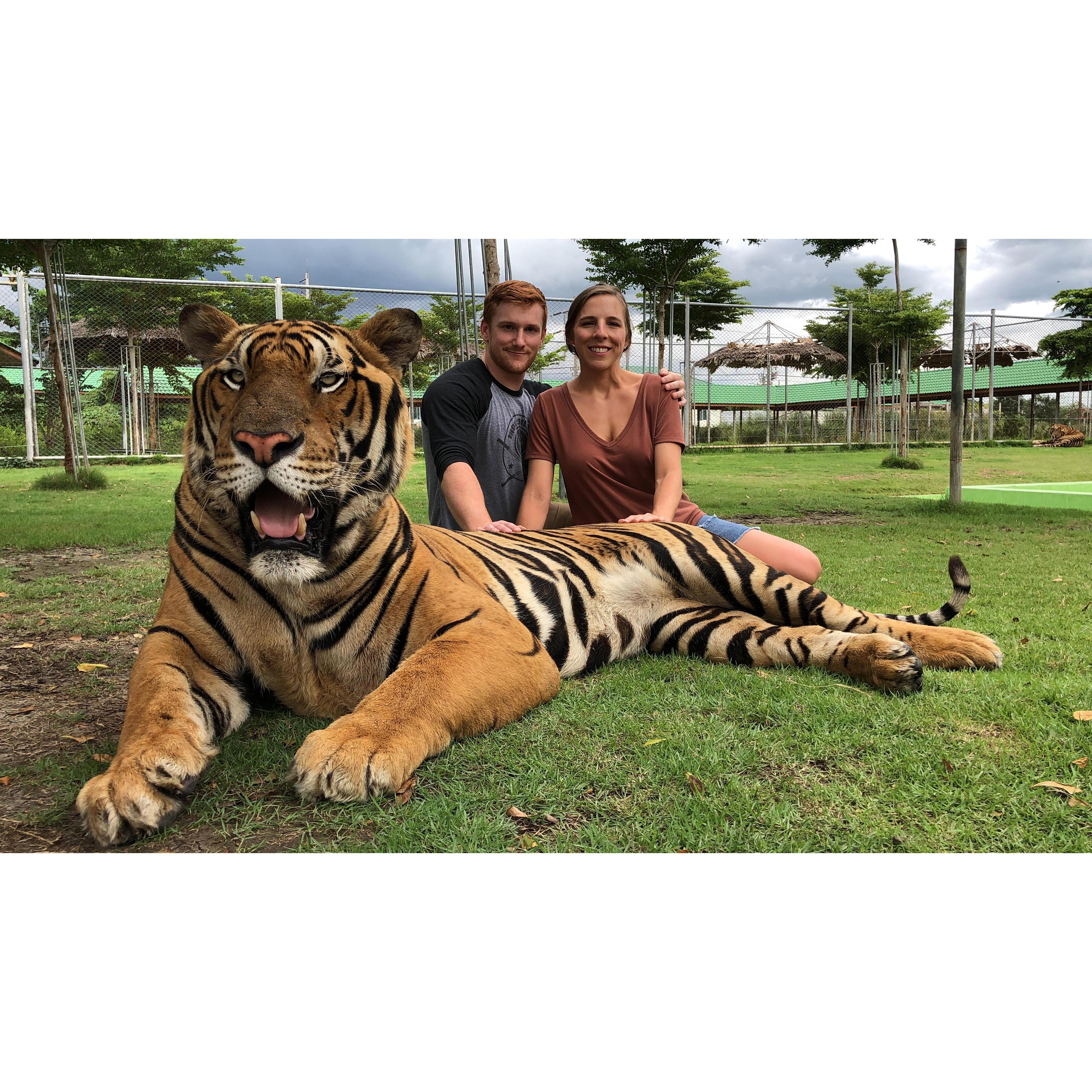 Trip to Bangkok, Thailand - 2019. Yes, this is a real live tiger.