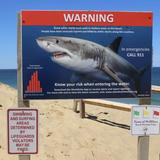 Ballston Beach