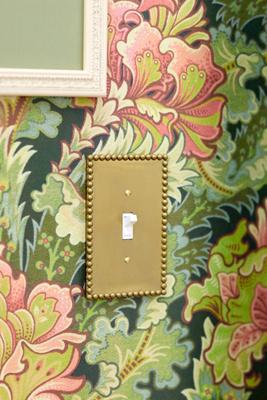 Pippa Bobbin Switch Plate