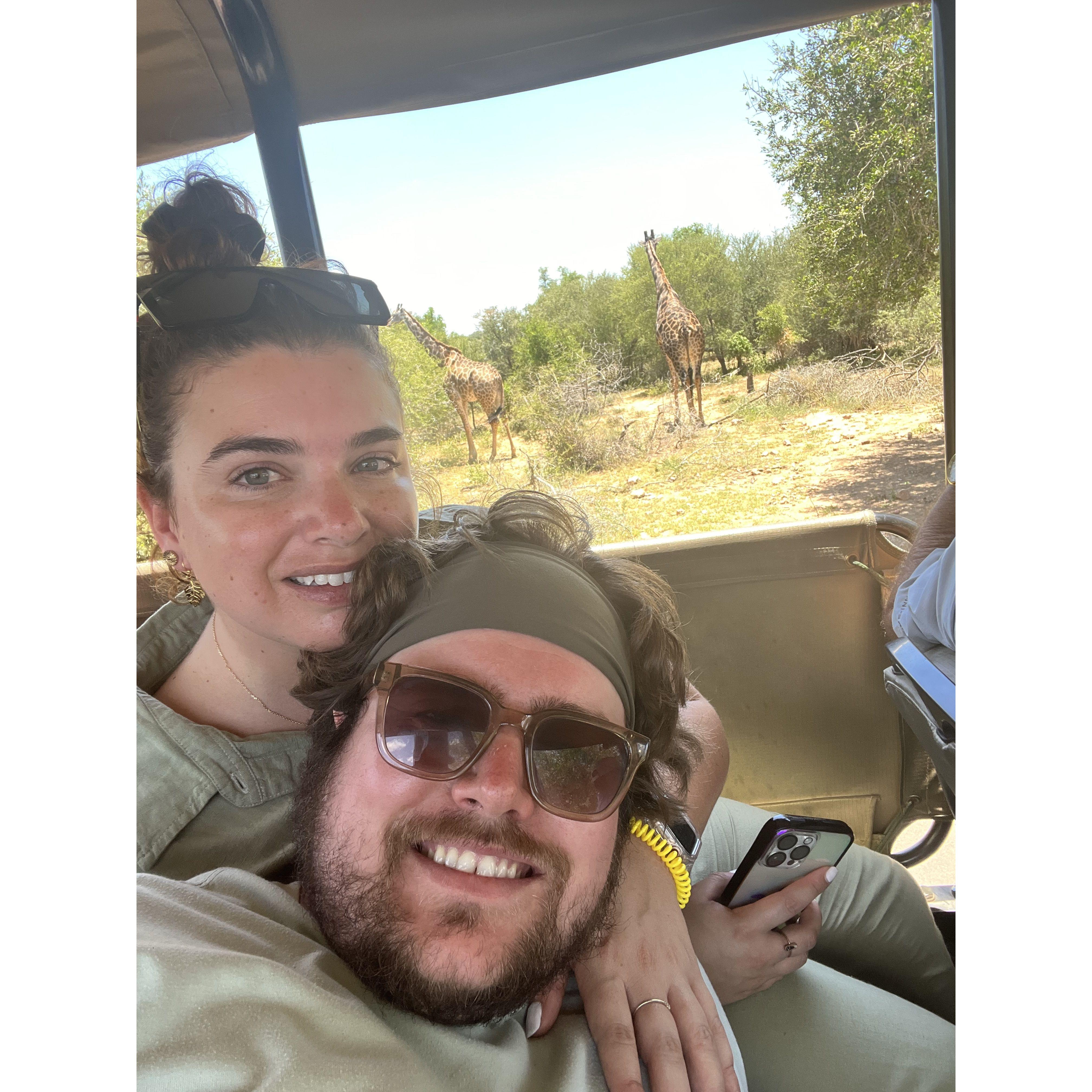 South African Safari
