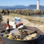 Taylor Shellfish Farms