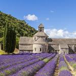 Abbaye Notre-Dame de Sénanque