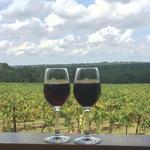 Kiepersol - The Grand Room, Winery, Distillery Tasting Room & Vineyard