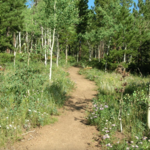 Caribou Ranch Open Space Parking & Trailhead