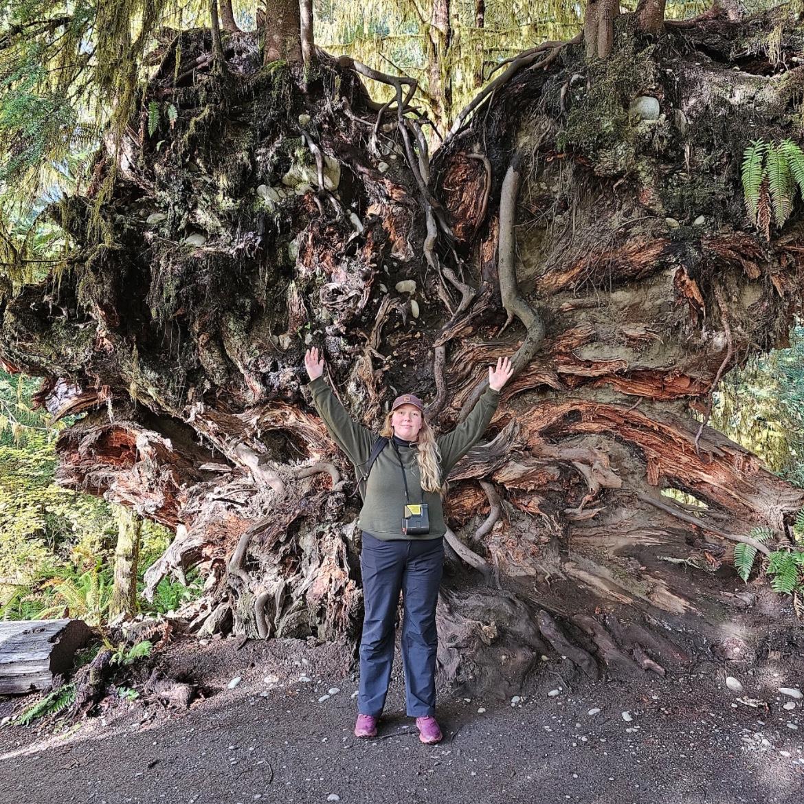 Washington Road Trip 2023 (Olympic National Park)