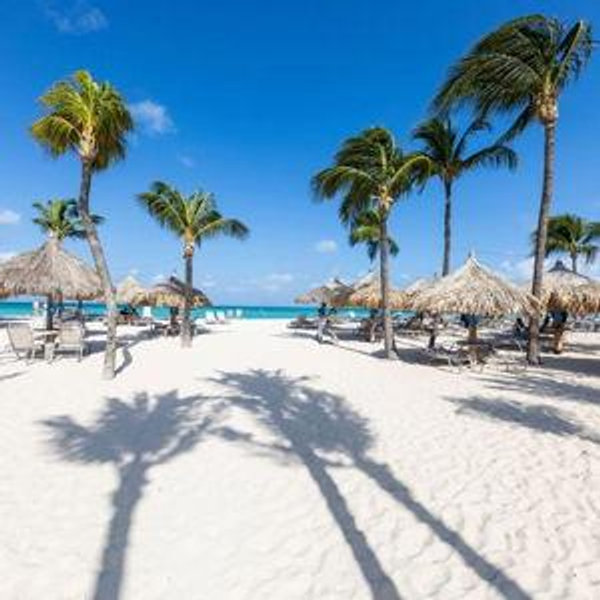 Honeymoon Fund