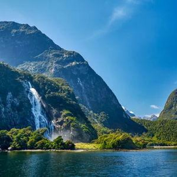 Honeymoon in New Zealand!
