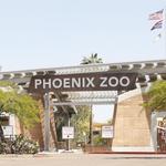 Phoenix Zoo