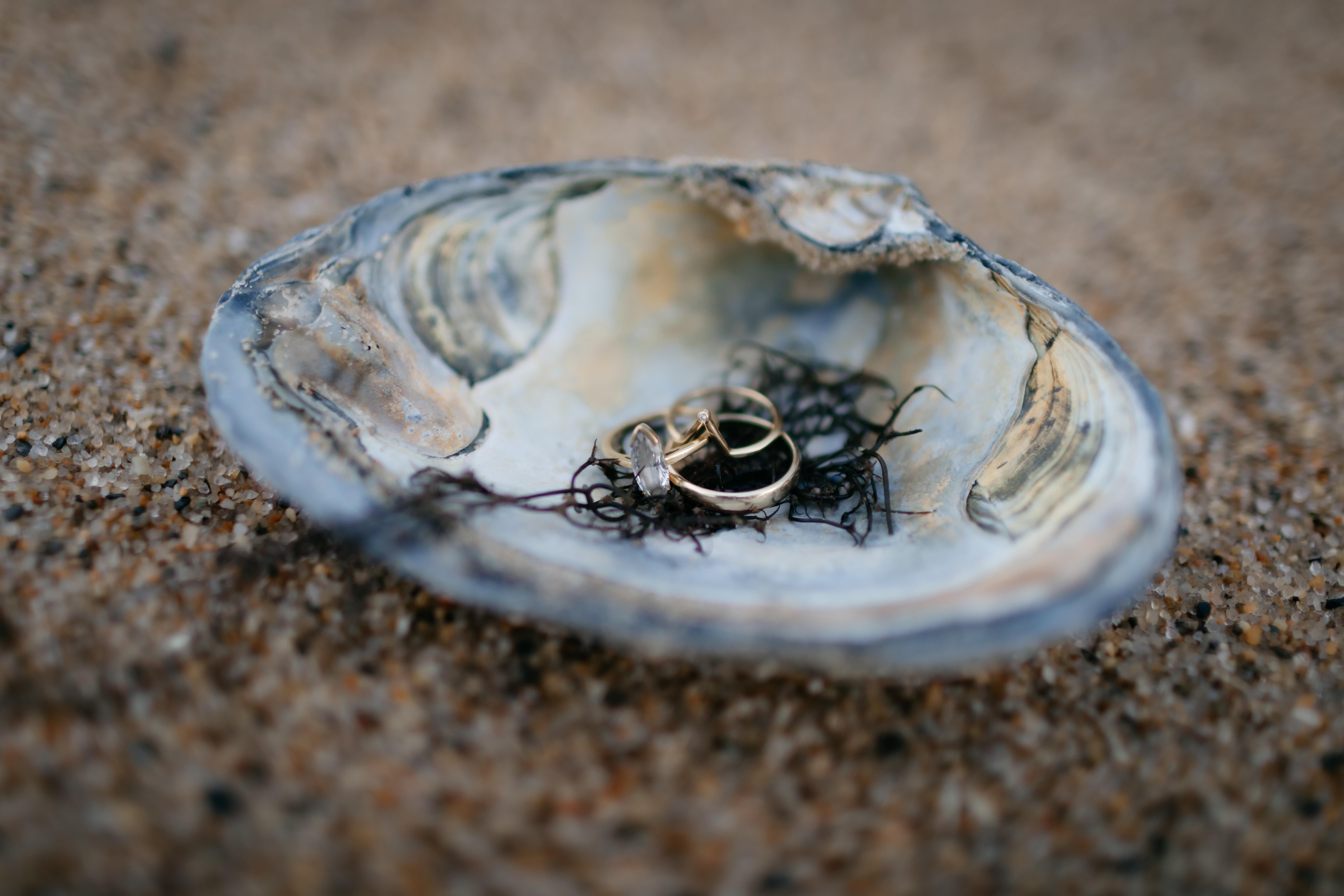 The Wedding Website of Sash Bischoff and Ben Borton