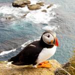 Coastal Trail Day Tour