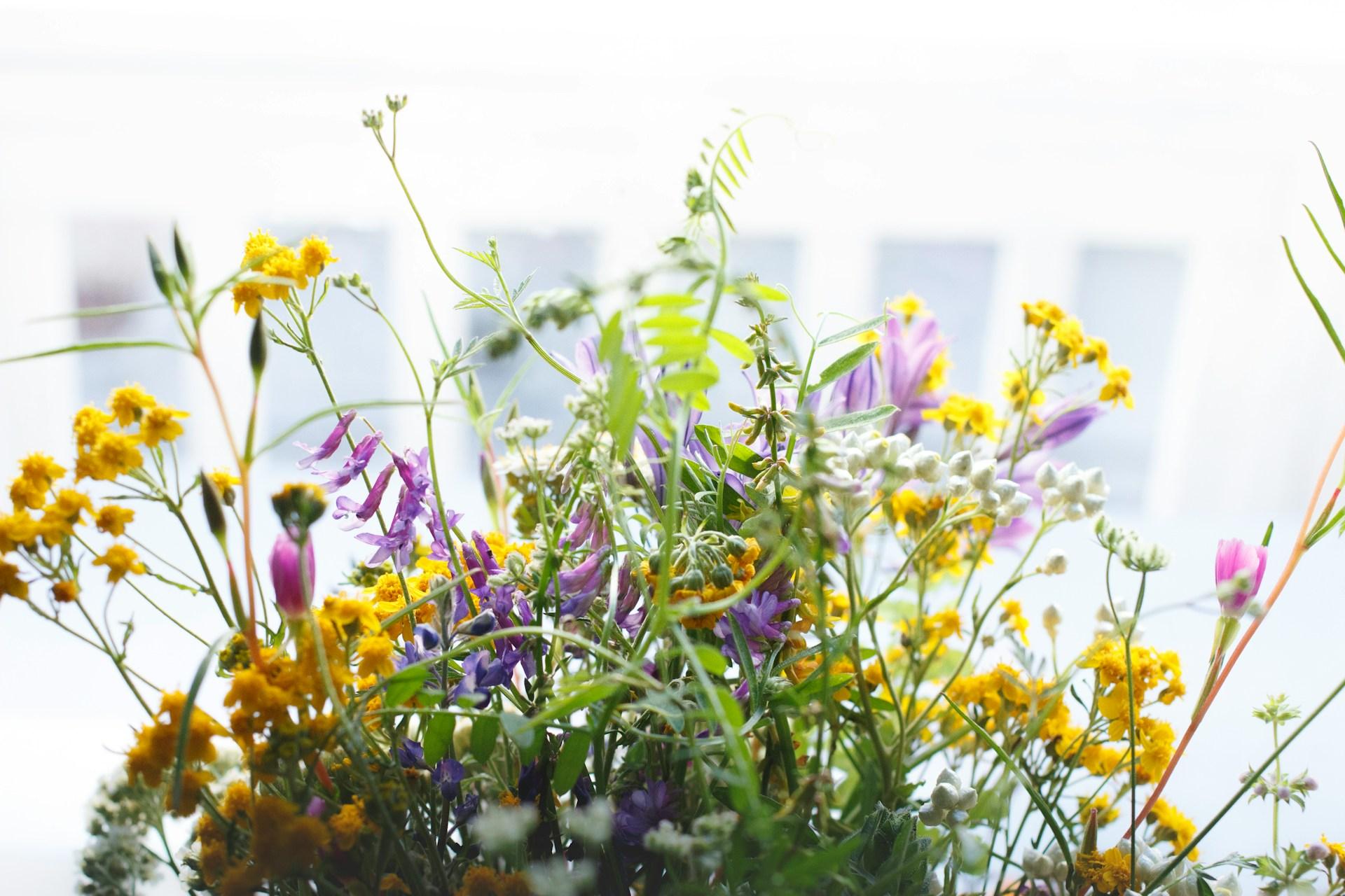 The Wedding Website of Chelsea McFadyen and Marianne Leon