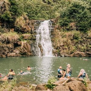 Day trip to Waimea Valley on our honeymoon