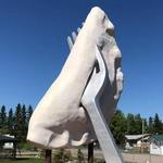World's Largest Pierogi