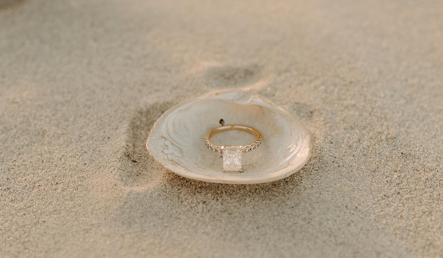 Footer image