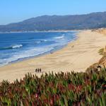 Poplar Beach