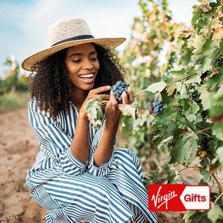 Redwoods & Wine Country Tour for 2 - Sonoma