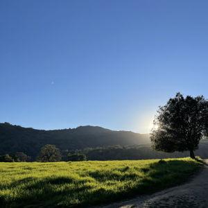 California Home <3
