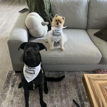 Clooney and Monroe excited about Mom & Dad getting married
