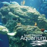 Aquarium (Concord St)