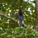 Owabi Wildlife Sanctuary