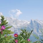 Thethi Hiking Tours (Theth National Park)