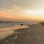 Folly Beach