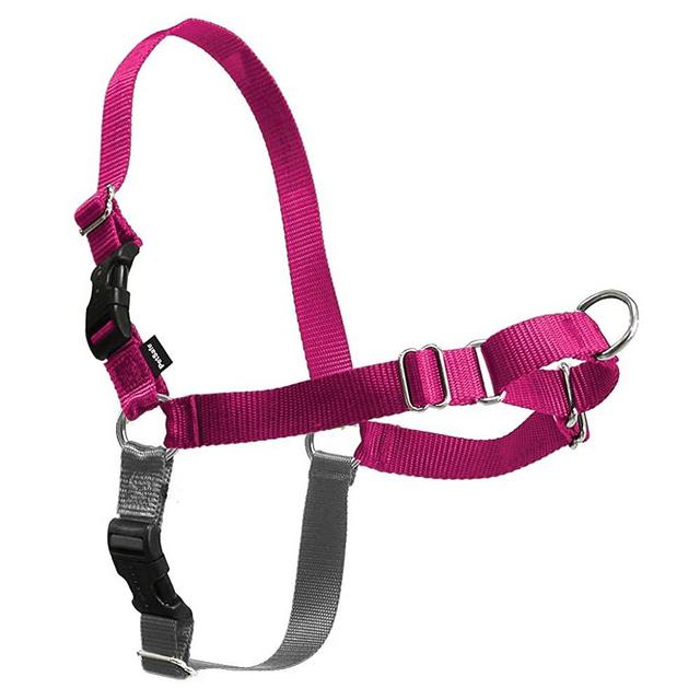 PetSafe Easy Walk No Pull Dog Harness: Stop Pulling & Choking - Martingale Front Clip - Chest Halter Helps With Dog Leash Training - Strong Nylon, Quick Release, Easy Fit - Small, Medium, Large Breeds
